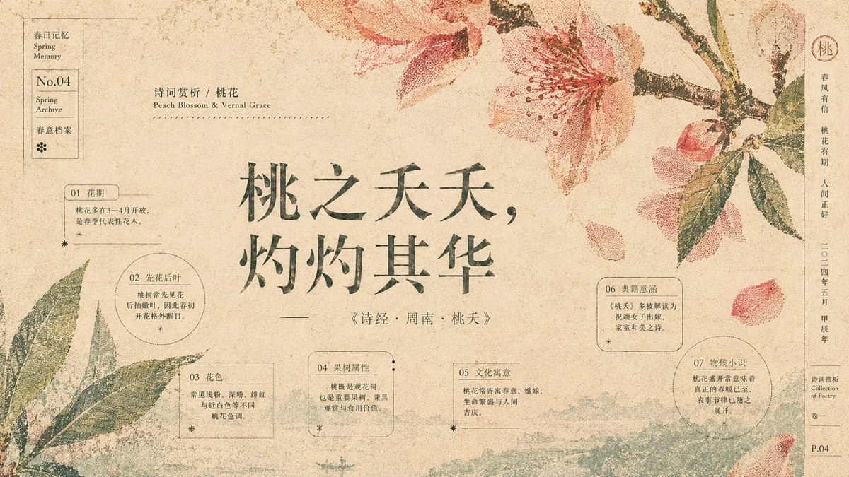 样张-02