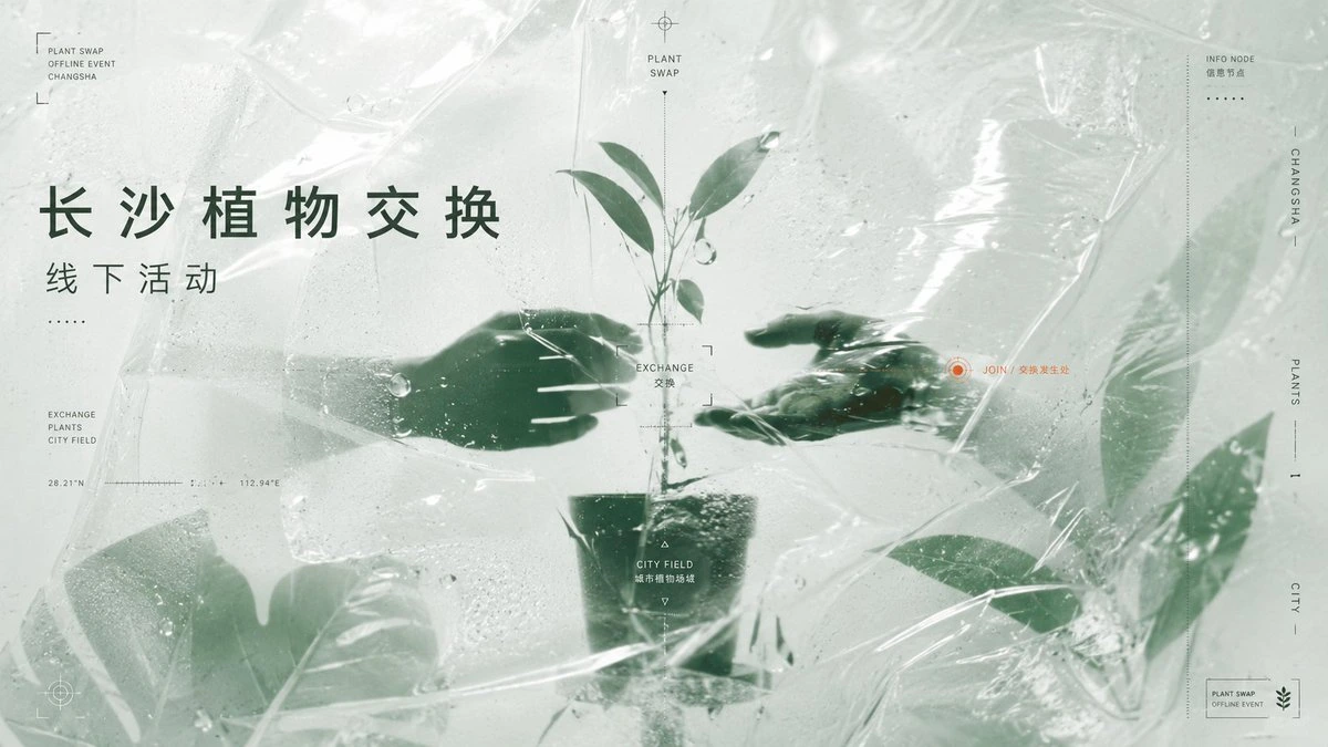 样张-01