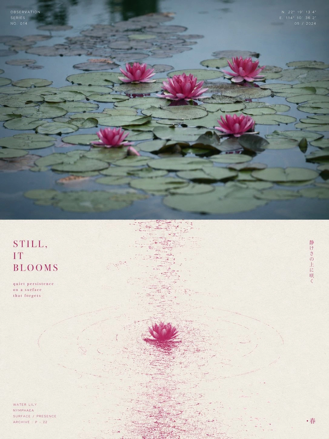 en variant 04