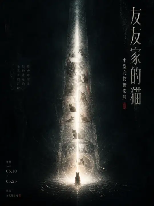宠物摄影展主视觉