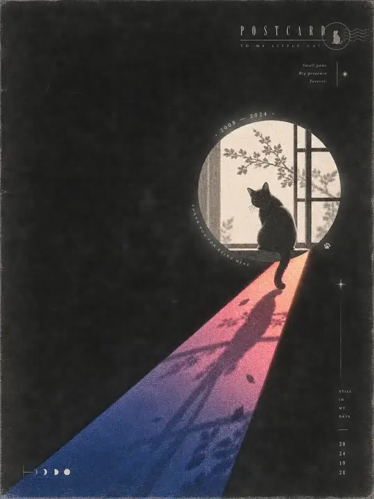 猫咪纪念明信片海报