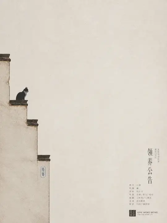 猫咪领养公告