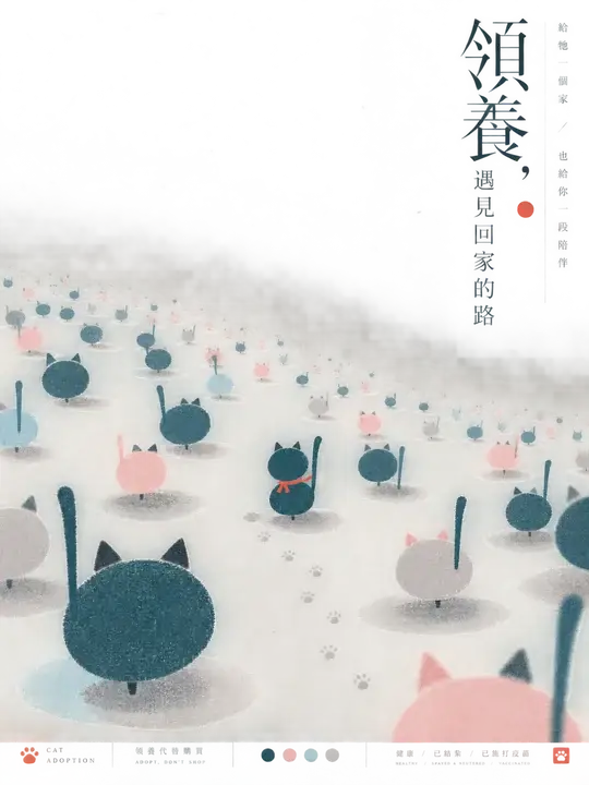 猫咪领养公益海报