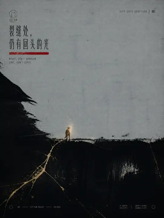 猫咪领养公益海报