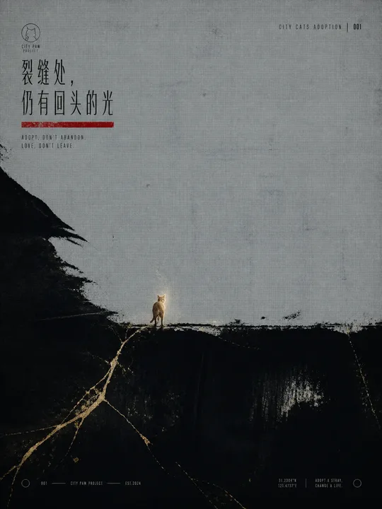 猫咪领养公益海报