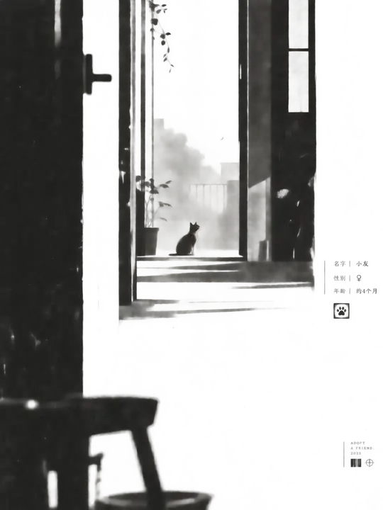 猫咪领养信息海报