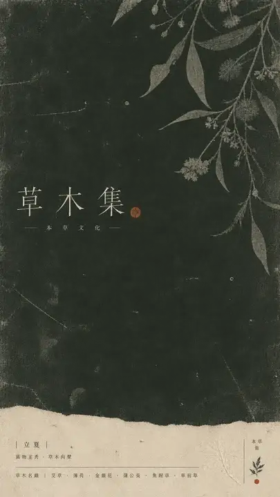 草木集本草文化海报