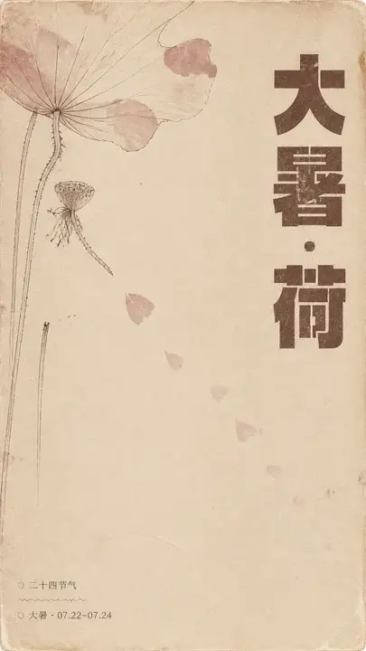 大暑荷韵海报