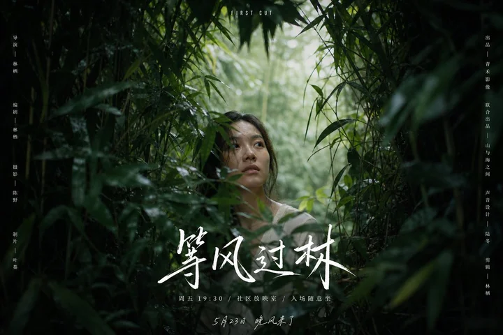 样张-03