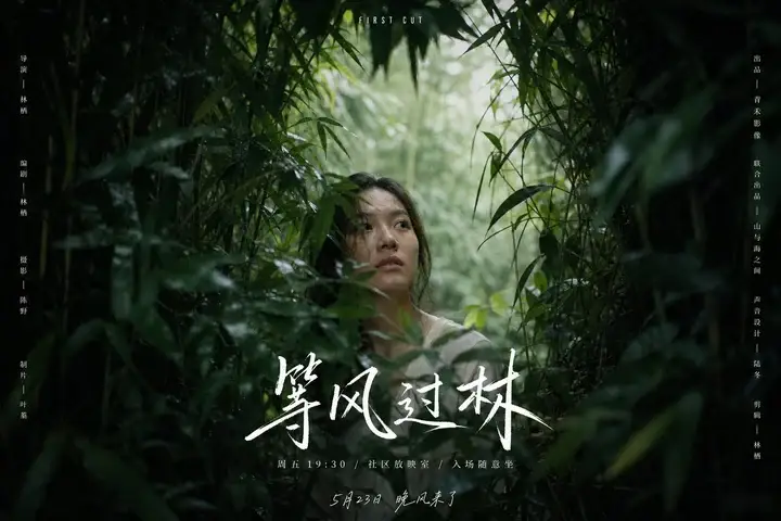 样张-03