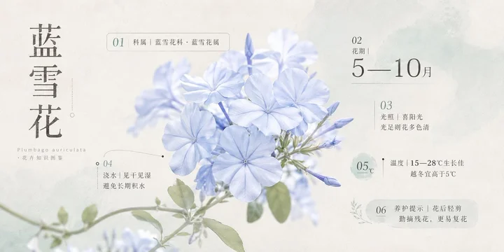 样张-01