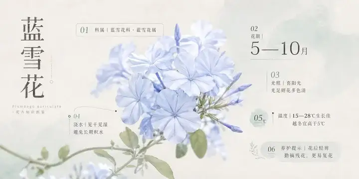 样张-01