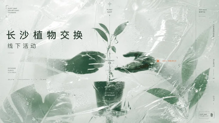 样张-01