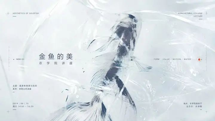 样张-02