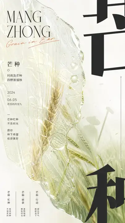 芒种