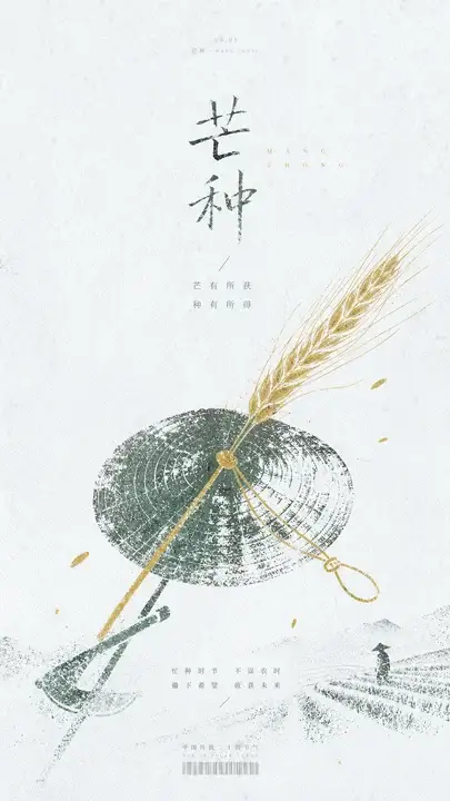 芒种