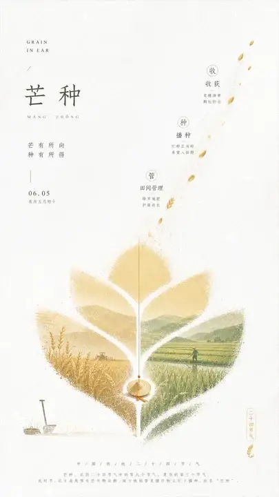 芒种