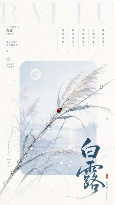 白露