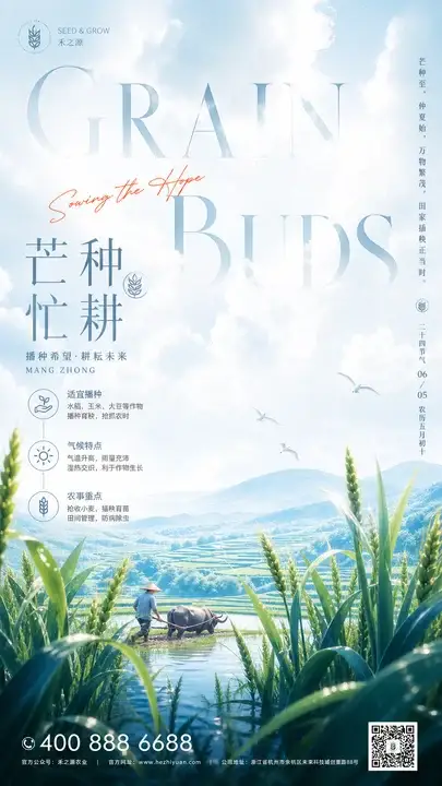 芒种忙耕