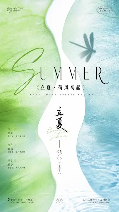 立夏荷风初起