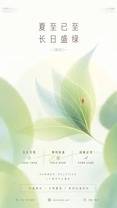 夏至叶脉节气海报