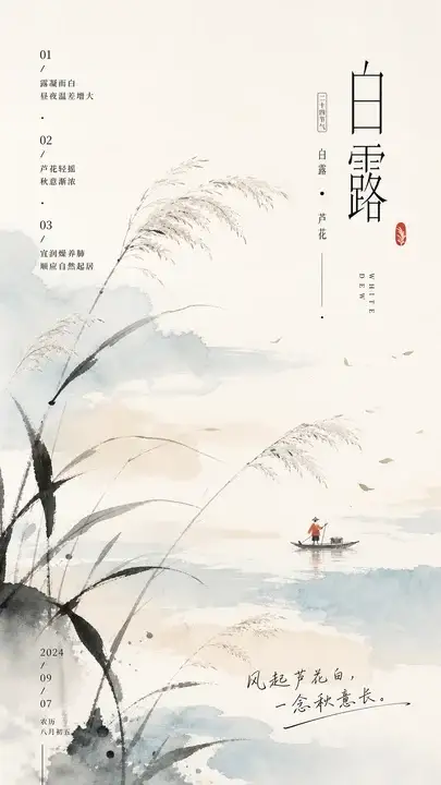 白露芦花