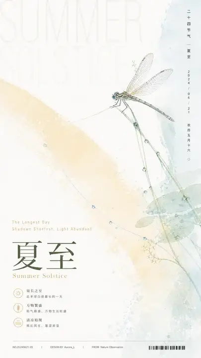 夏至节气蜻蜓海报