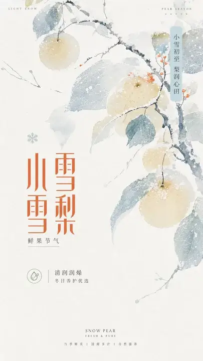 小雪雪梨海报