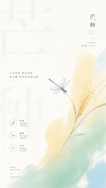 芒种麦穗忙夏