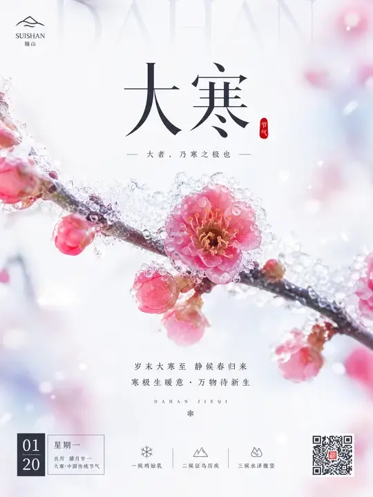大寒花枝