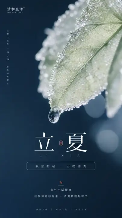 立夏节气海报