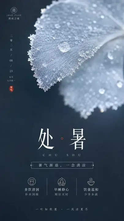 处暑节气海报