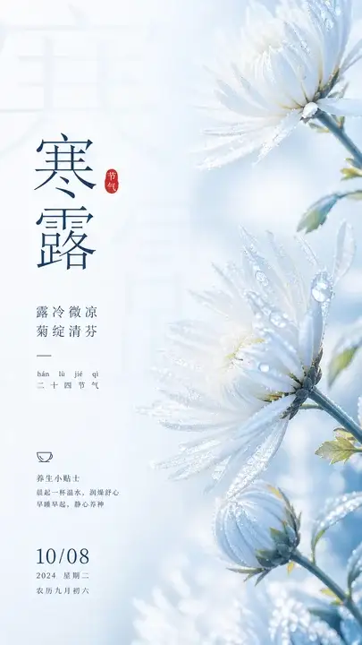 寒露菊花节气海报