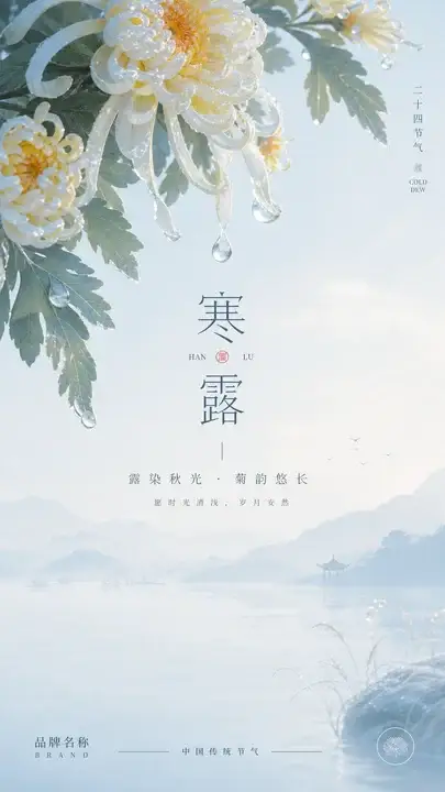 寒露菊花