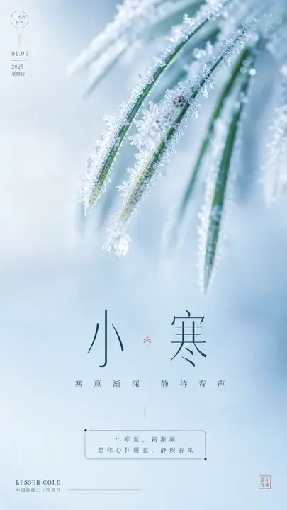 小寒霜枝