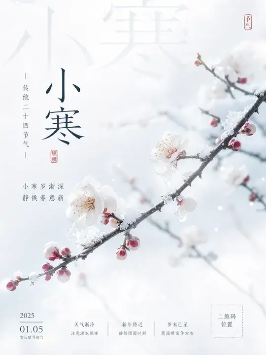 小寒梅枝海报