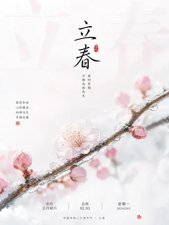 立春花枝海报