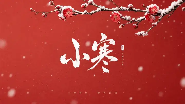小寒雪梅
