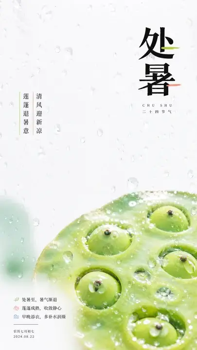 处暑莲蓬退暑海报