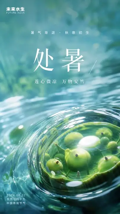 处暑莲子退热海报