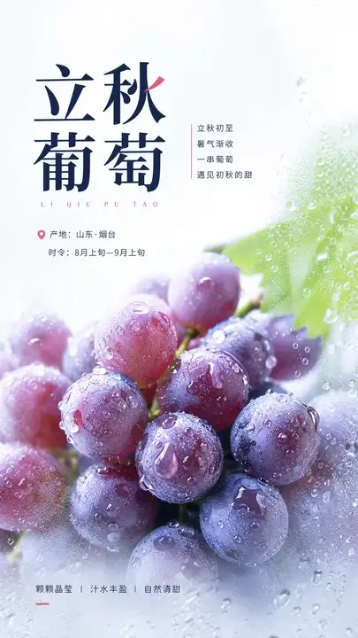 立秋葡萄