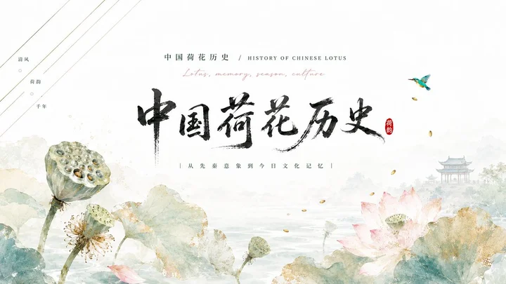 样张-02