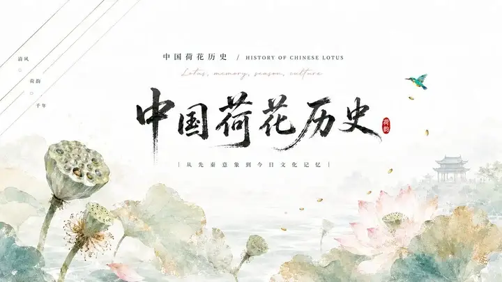 样张-02