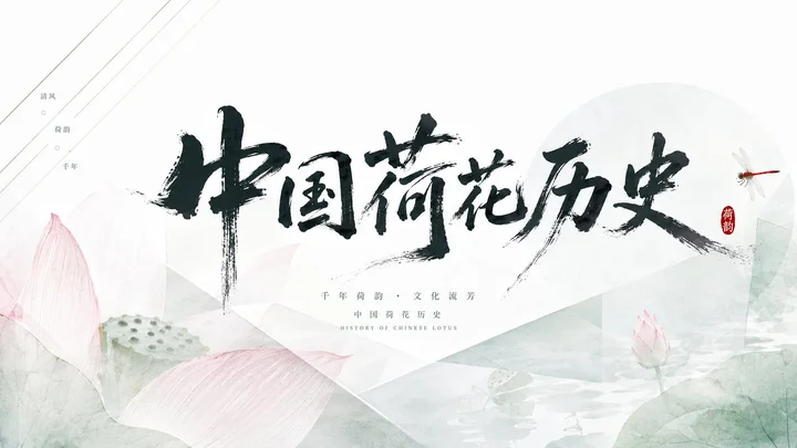 样张-03