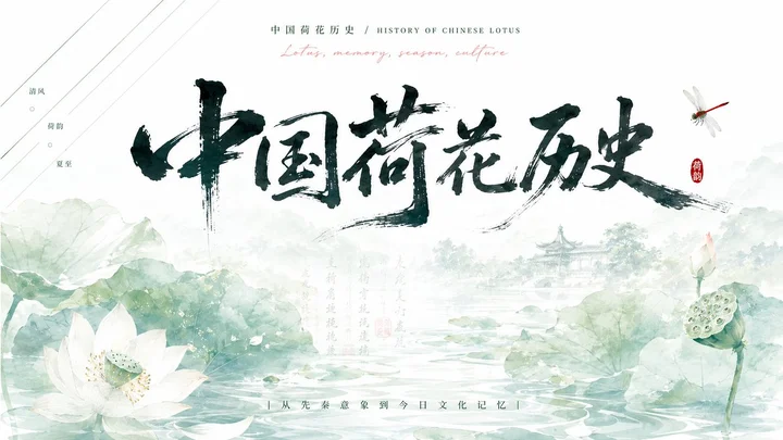 样张-04