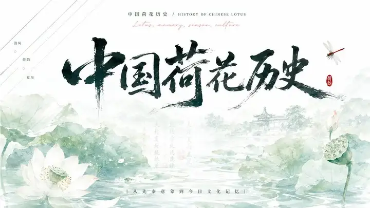 样张-04