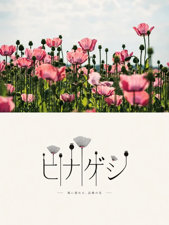 样张-03