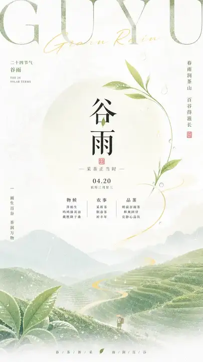 谷雨采茶