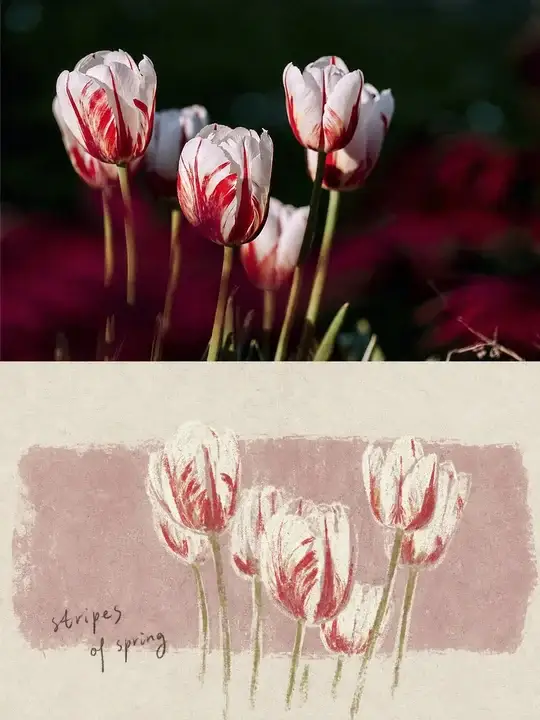 样张-03