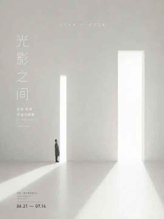 导演回顾展海报